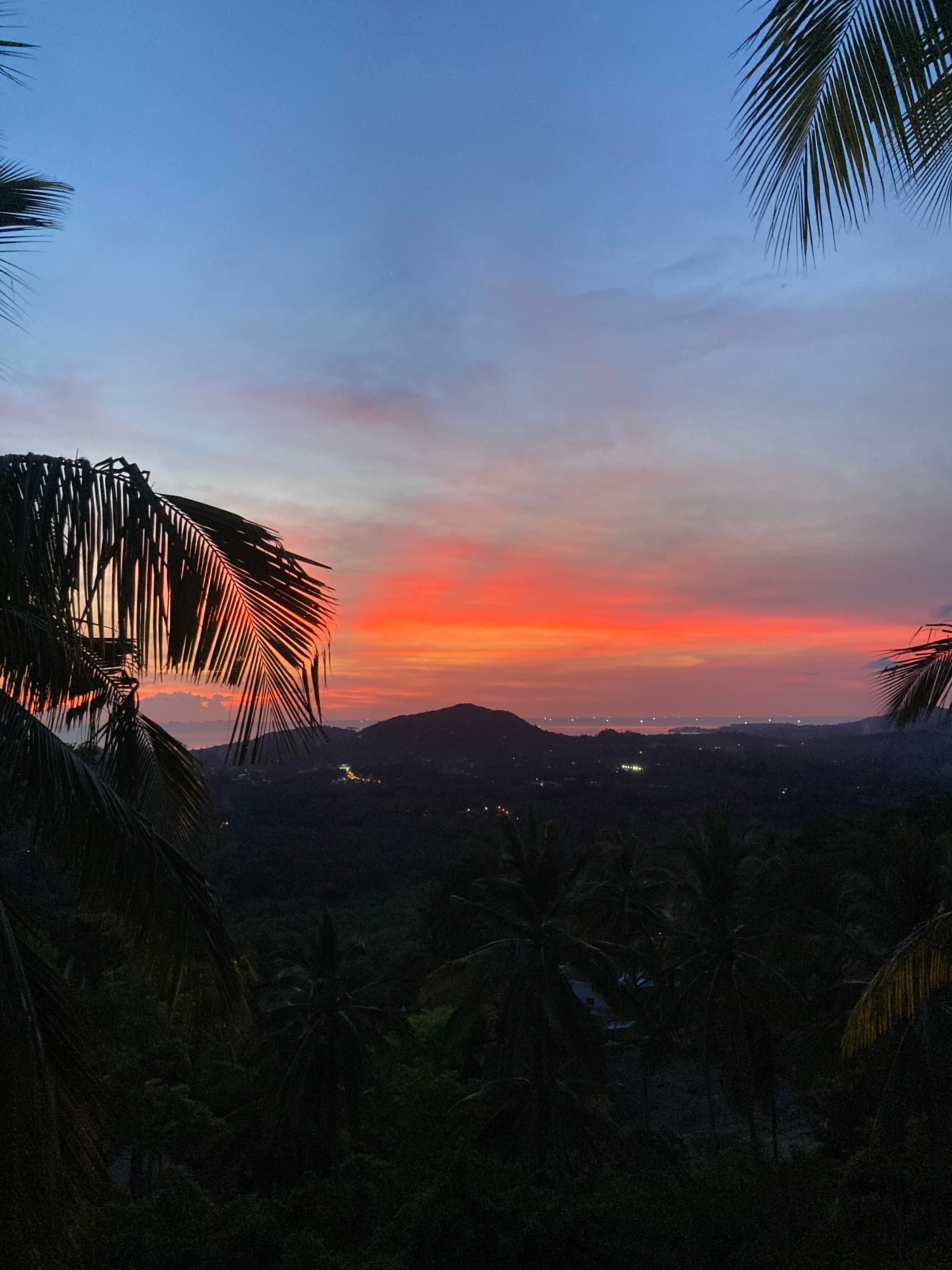 Sunset view over the jungle from the property