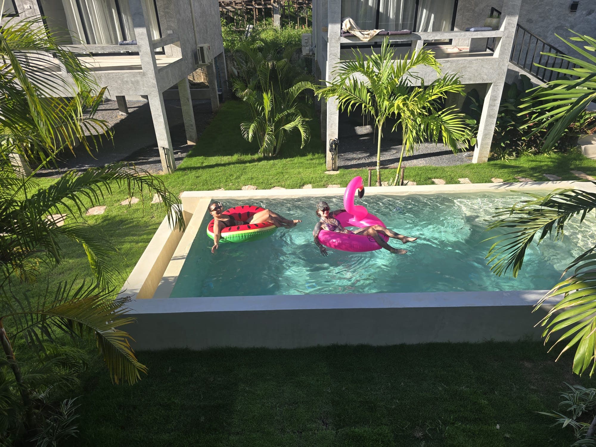 Shared pool with floaties and palm trees
