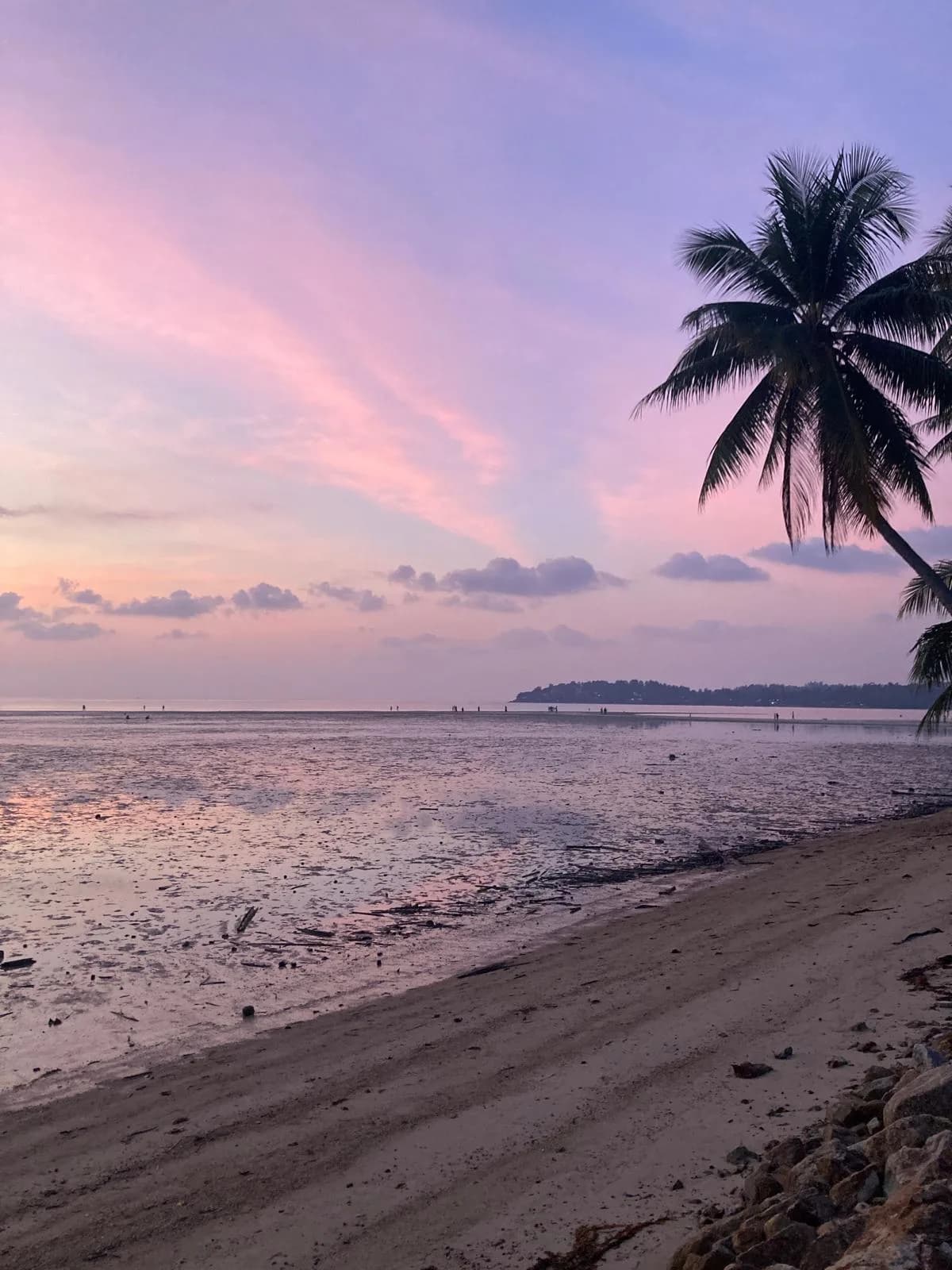 Purple sunset over the beach on Koh Phangan